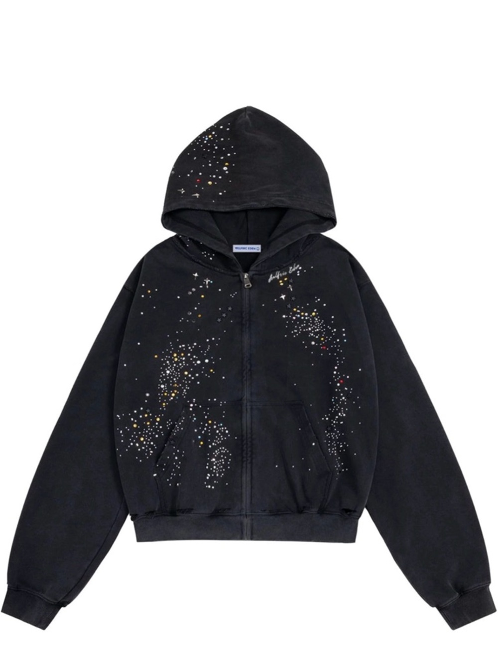 Aelfric Eden Rhinestone Hoodie